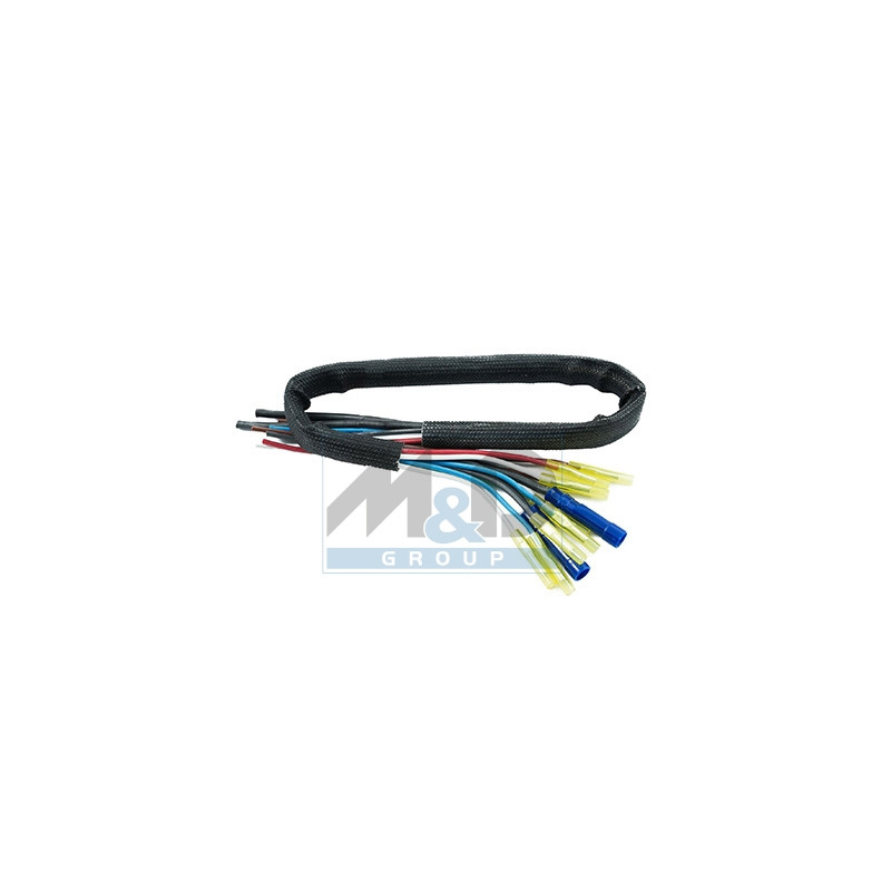 PIECES POUR SYSTEMES DE GESTION MOTEUR